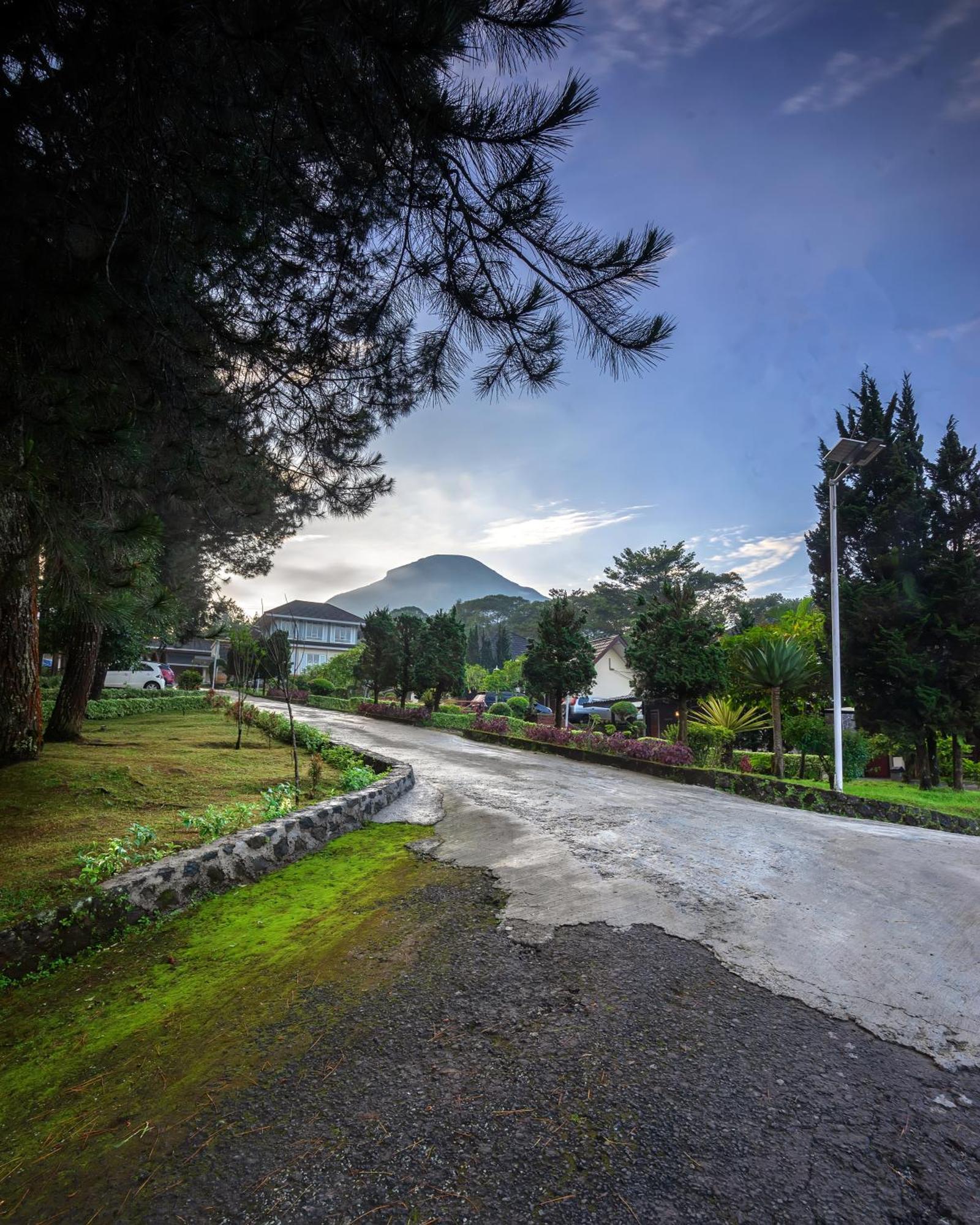 Tambi Tea Resort Kejajar Екстериор снимка